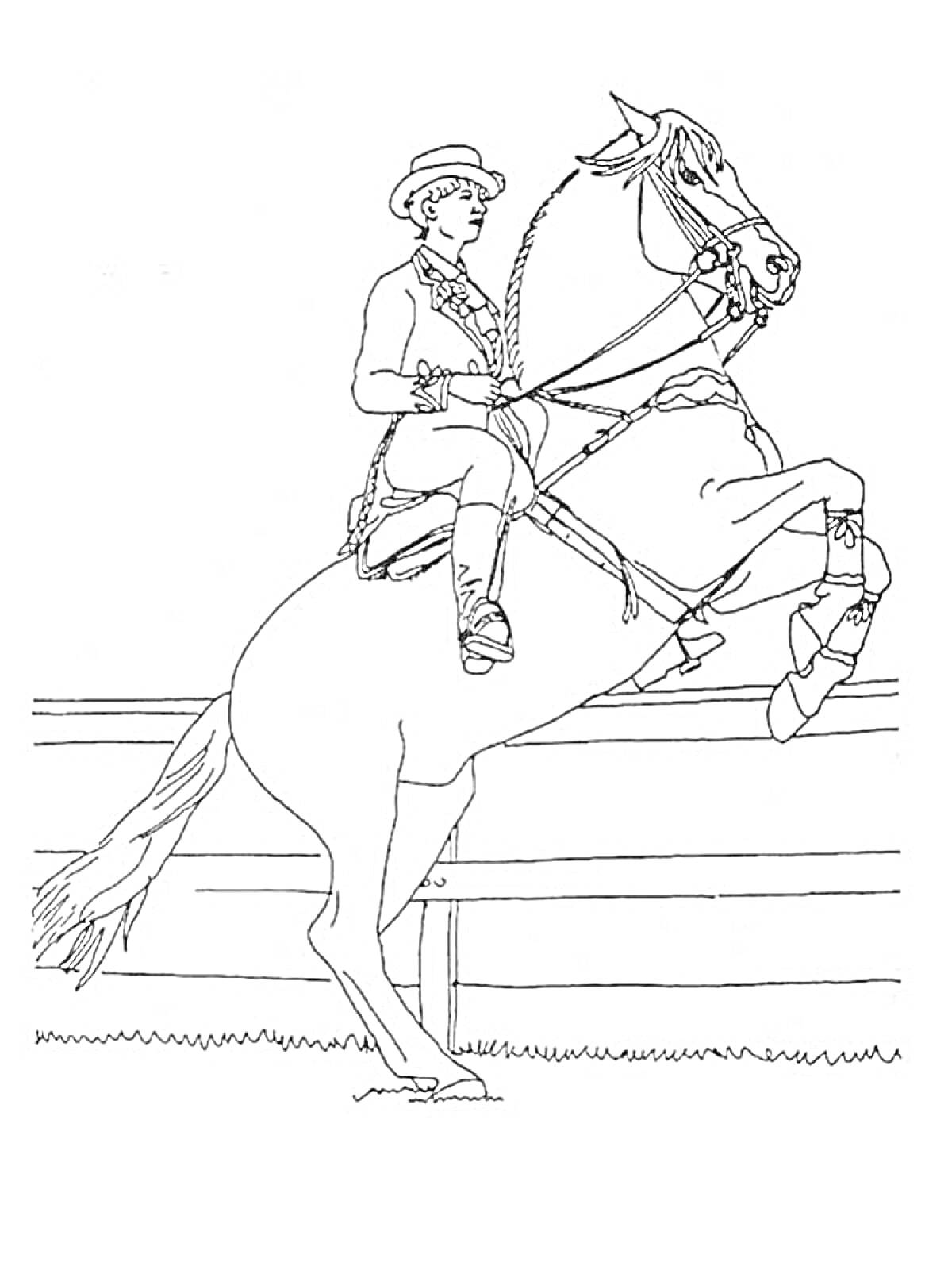 Раскраска Всадник на лошади, поднимающейся на задние ноги, на фоне ограды