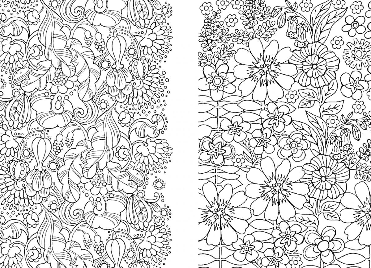 Раскраска Антистресс раскраска с цветочными узорами, листьями и завитками