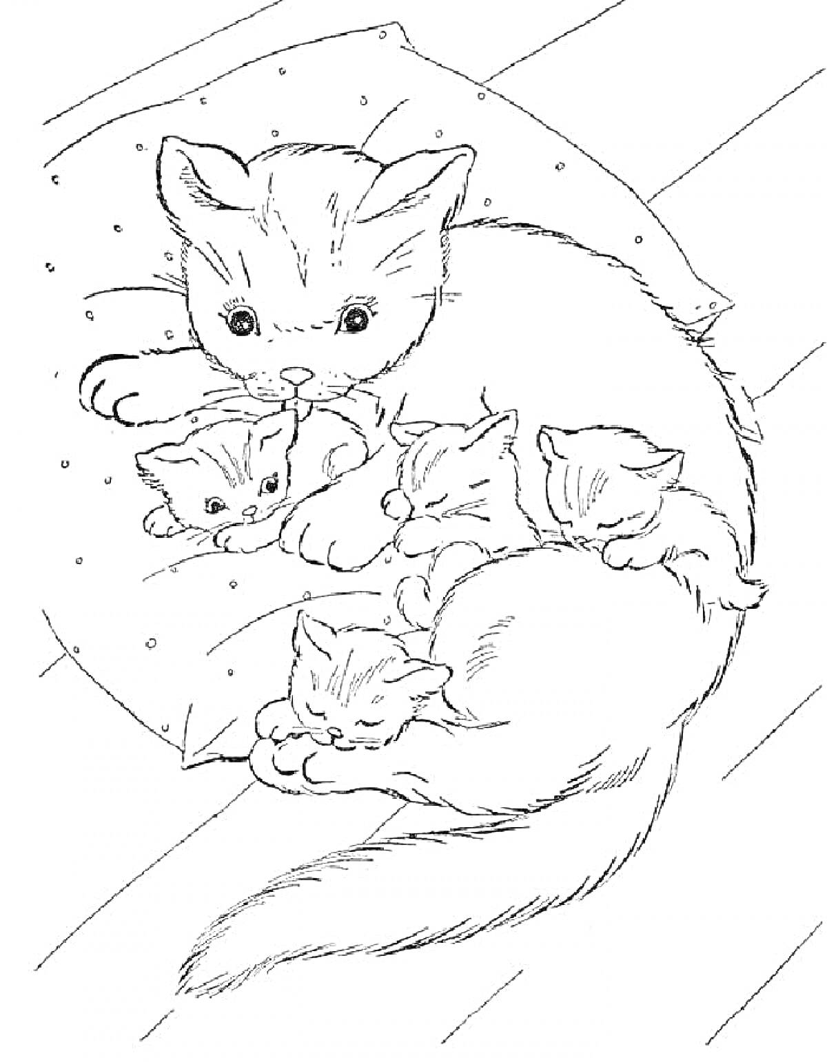 Раскраска Кошка с четырьмя котятами на подушке, лежащей на полу досчатой комнаты