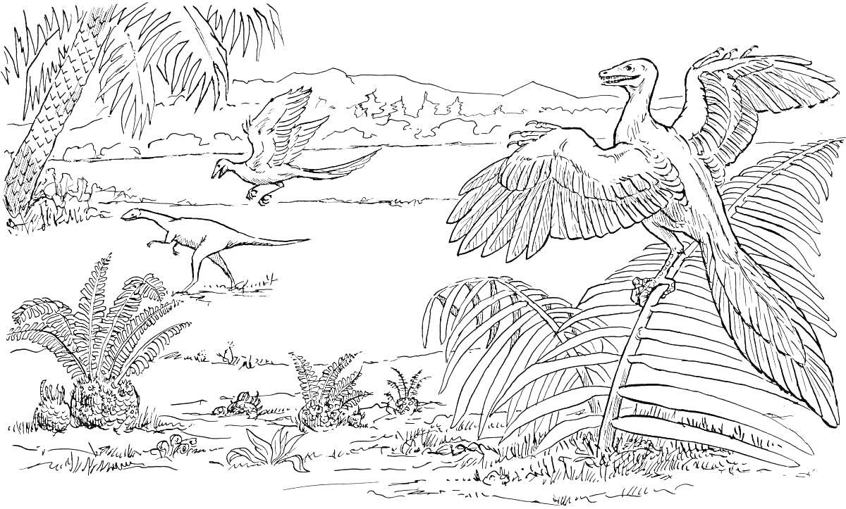 Раскраска Три археоптерикса среди древней флоры на фоне гор