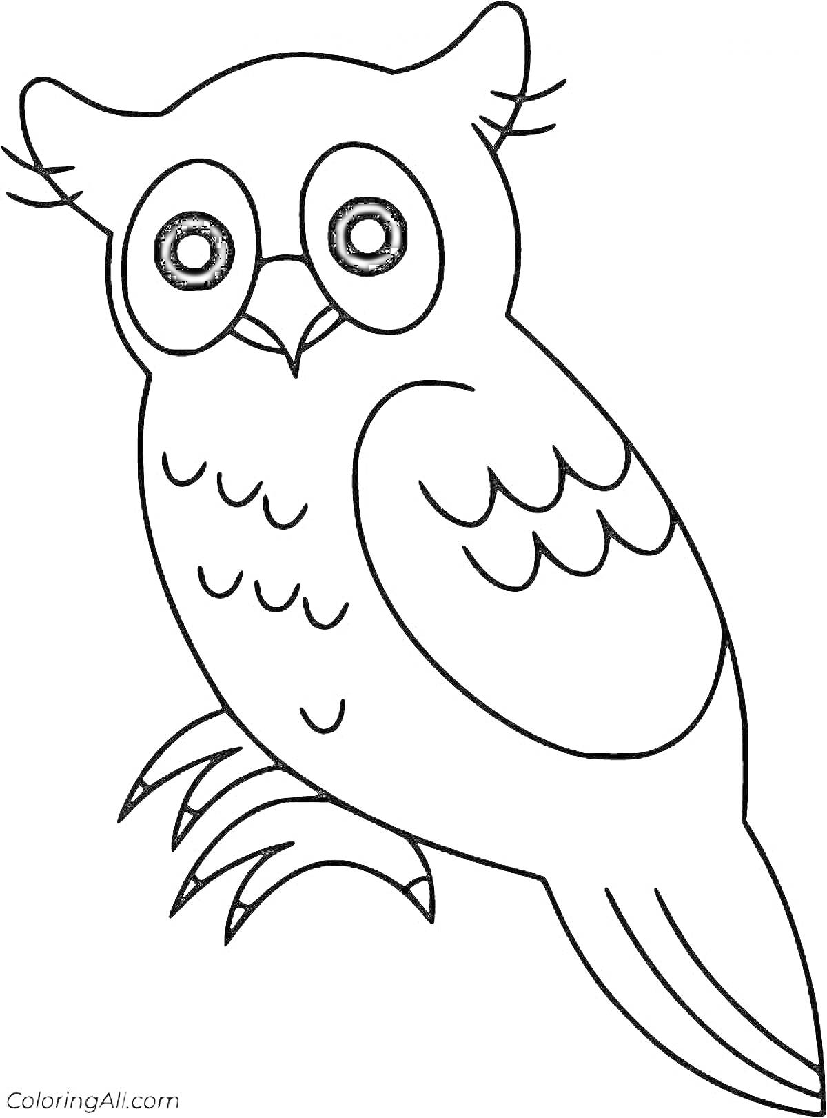 Раскраска Филин с ярко выраженными глазами, декоративными перьями на крыльях и хвостом