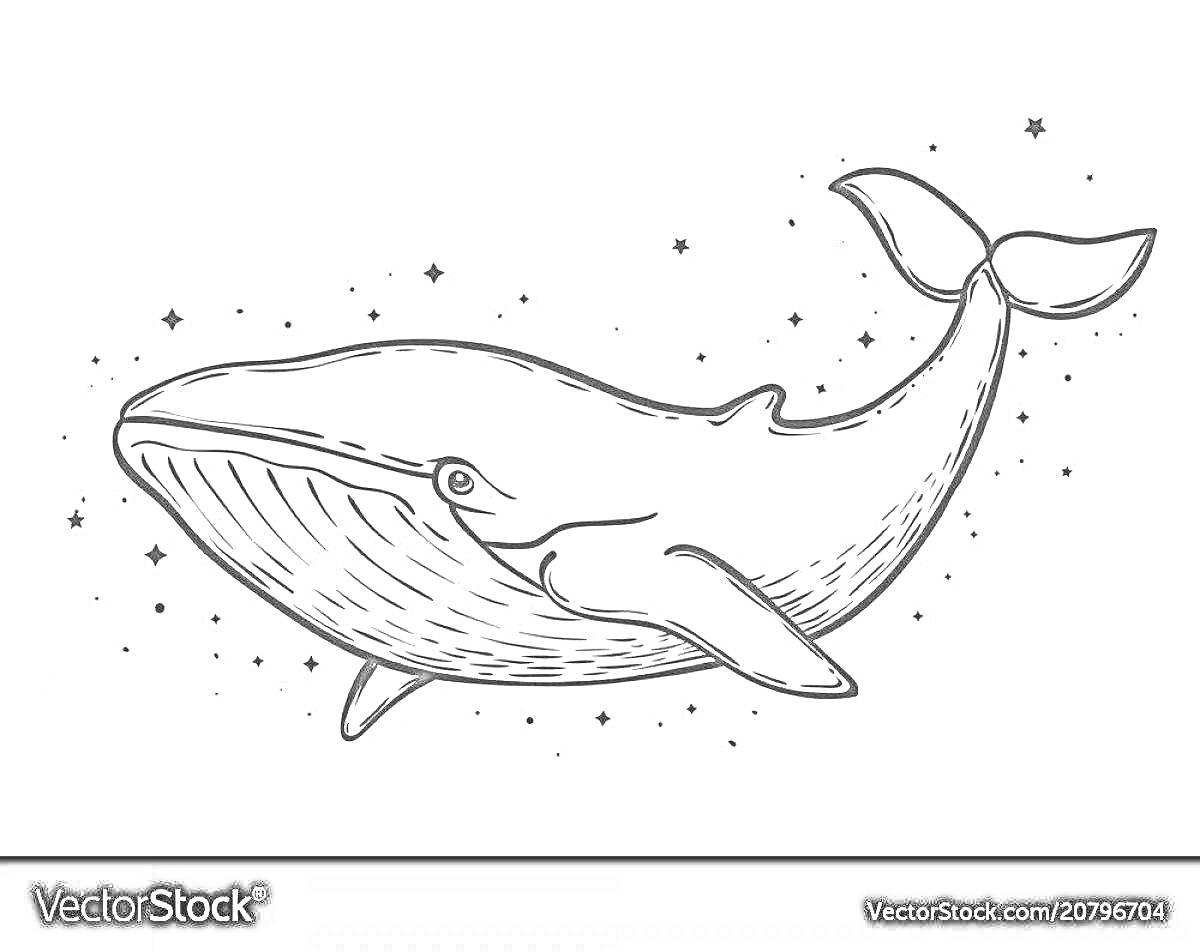 На раскраске изображено: Морские звезды, Животные, Подводный мир