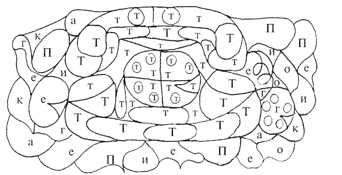 Раскраска Раскраска с буквами для дошкольников: буквы Т, П, и другие в различных фигурных областях