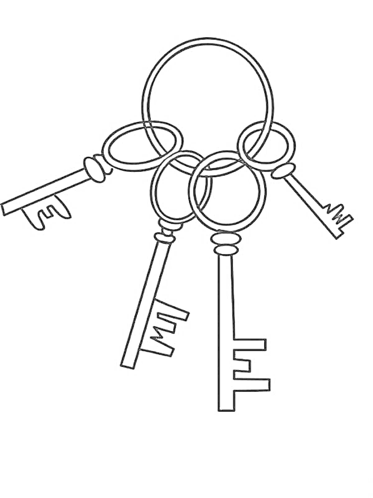 На раскраске изображено: Кольцо, Ключ, Контурные рисунки