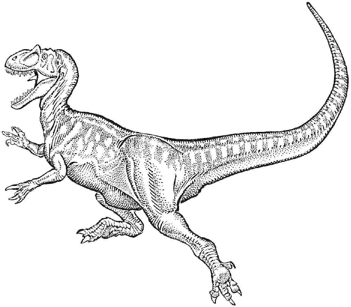 Раскраска цератозавр, бежит, пасть открыта, вид сбоку