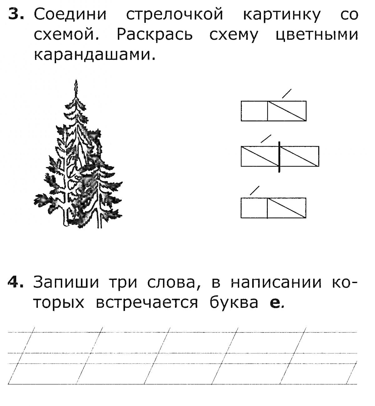 Раскраска Соедини стрелочкой картинку с елкой со схемой, раскрась схему цветными карандашами, запиши три слова, в написании которых встречается буква 