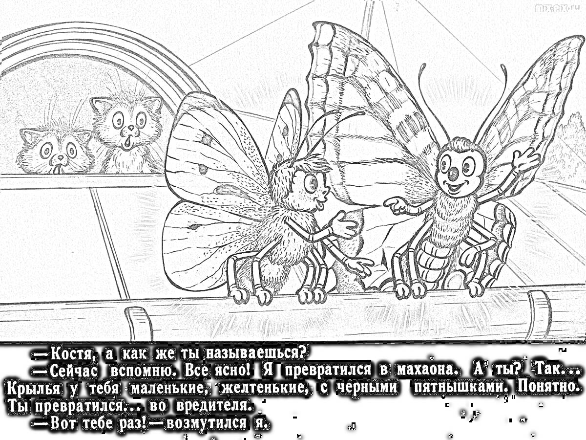 Раскраска Бабочки на крыше со сценой превращения и котятами на заднем плане