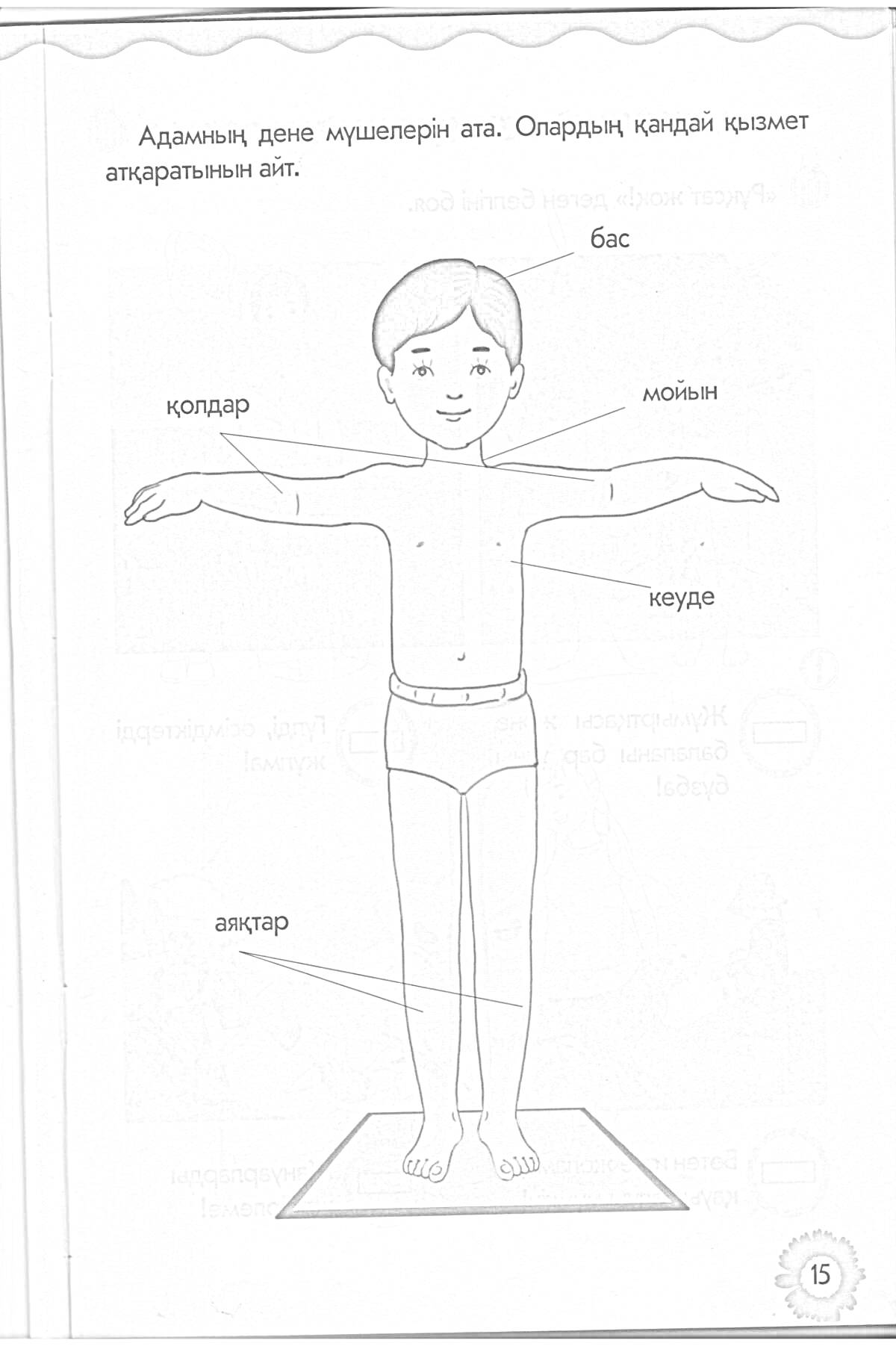 Ребенок с указанием частей тела (бас, мойын, қолдар, кеуде, аяқтар)
