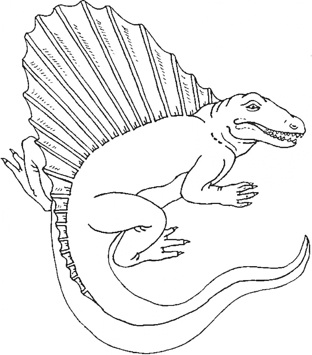 На раскраске изображено: Динозавр, Палеонтология, Рептилии, Древние животные