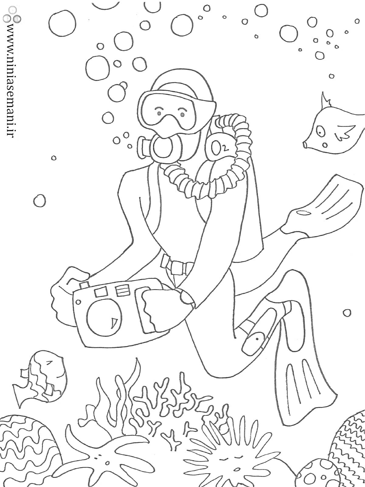 На раскраске изображено: Водолаз, Подводное плавание, Фотоаппарат, Рыба, Пузыри, Кораллы, Водоросли, Подводный мир