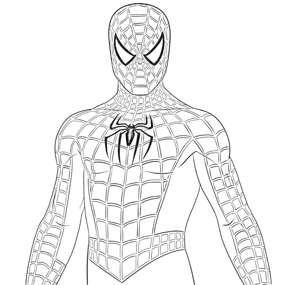 Человек-паук в костюме с паутиной и пауком на груди