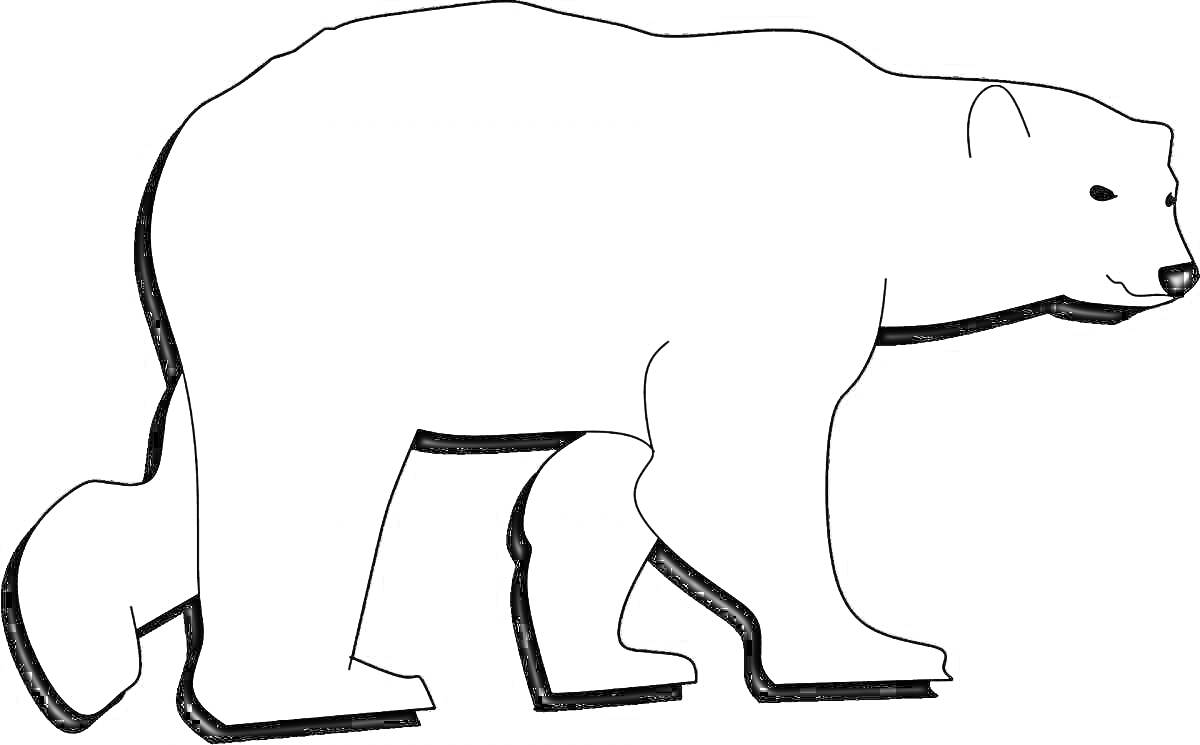 На раскраске изображено: Белый медведь, Для детей, Дошкольники, 3-4 года