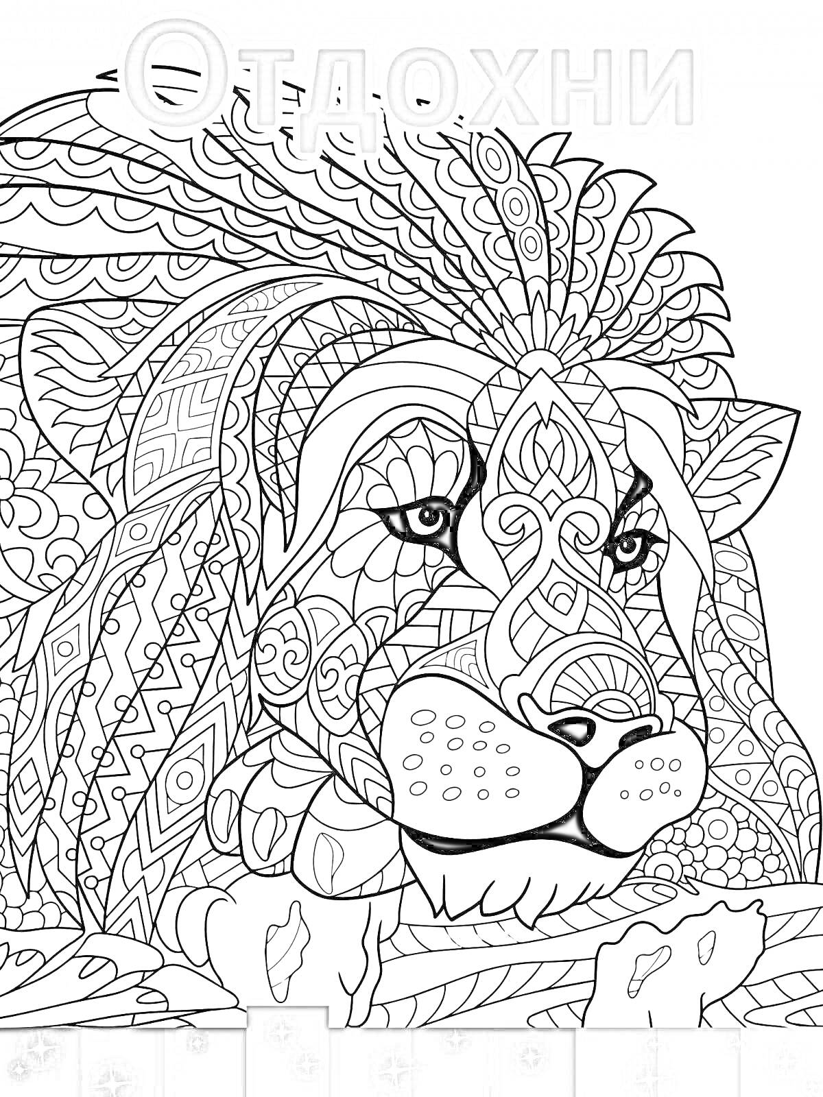 Раскраска Отдохни - Раскраска с узорчатым львом