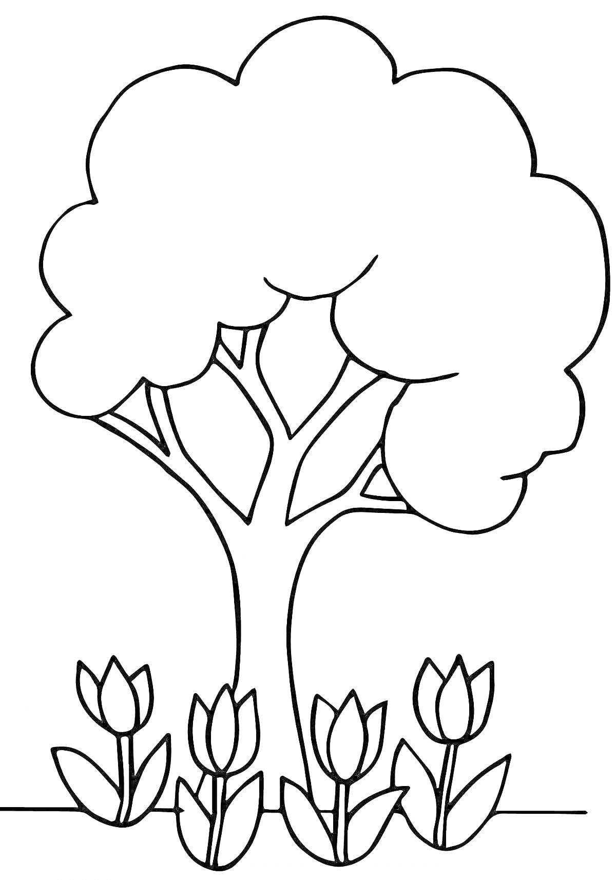 Раскраска Дерево с тюльпанами