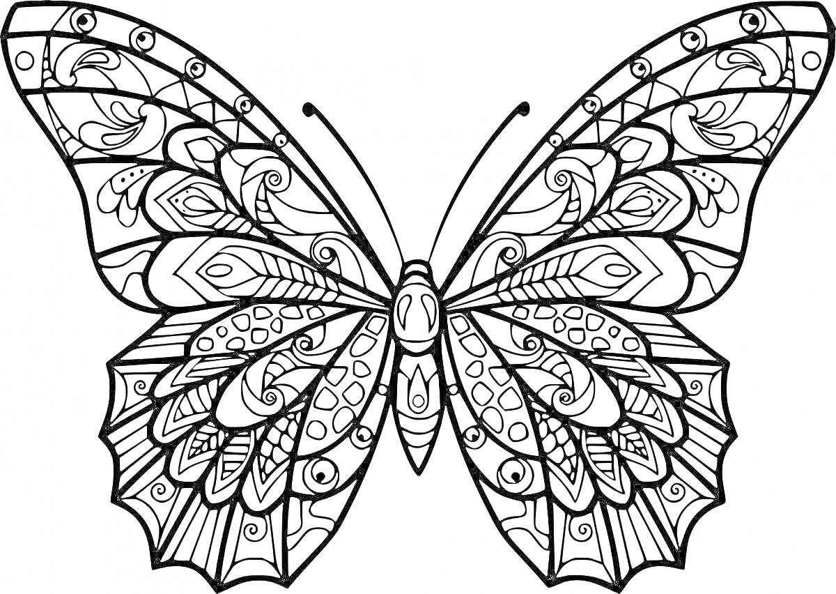 Раскраска Раскраска с красивой бабочкой с узорными крыльями и деталями внутри крыльев