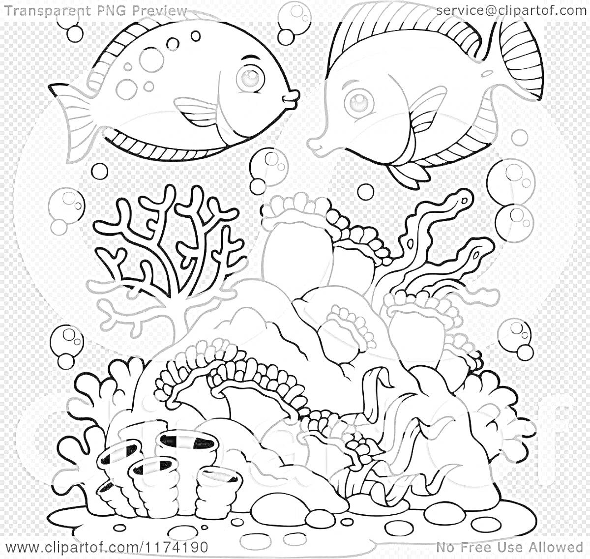 На раскраске изображено: Подводный мир, Кораллы, Водоросли, Морское дно, Морские растения, Третьеклассники