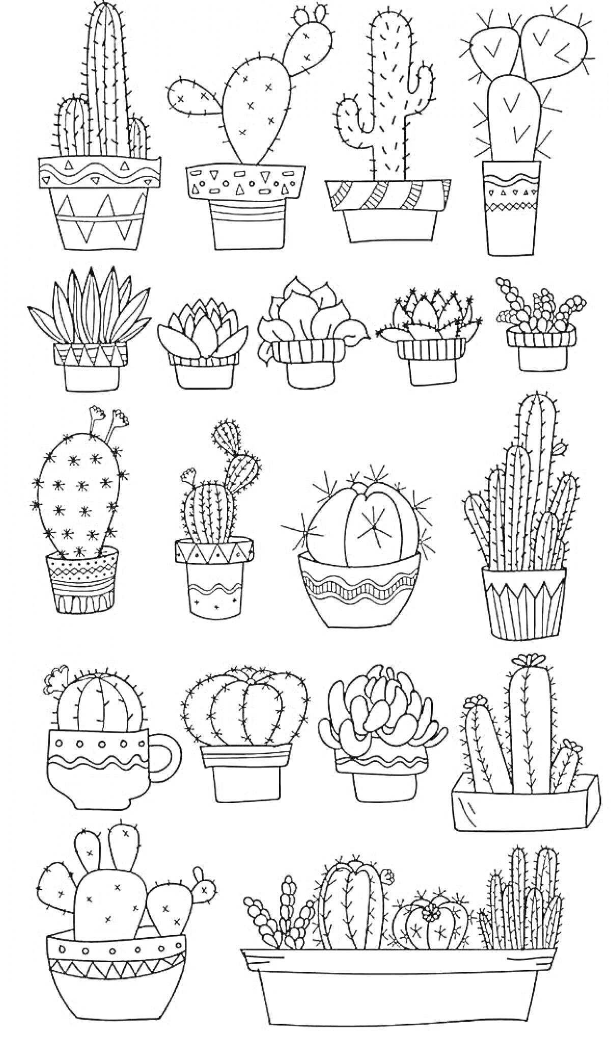 Раскраска Кактусы в горшках, различные виды кактусов в декоративных горшках
