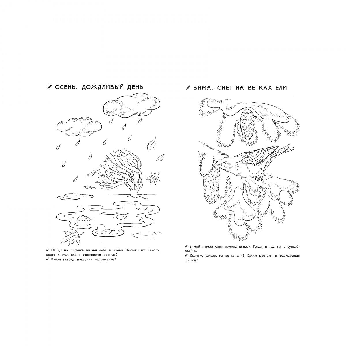 На раскраске изображено: Осень, Дождь, Облака, Лужа, Ветер, Капли, Зима, Снег
