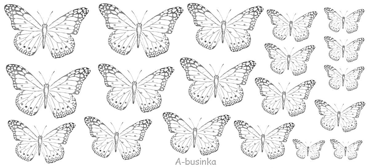 Раскраска раскраска с множеством бабочек на одном листе