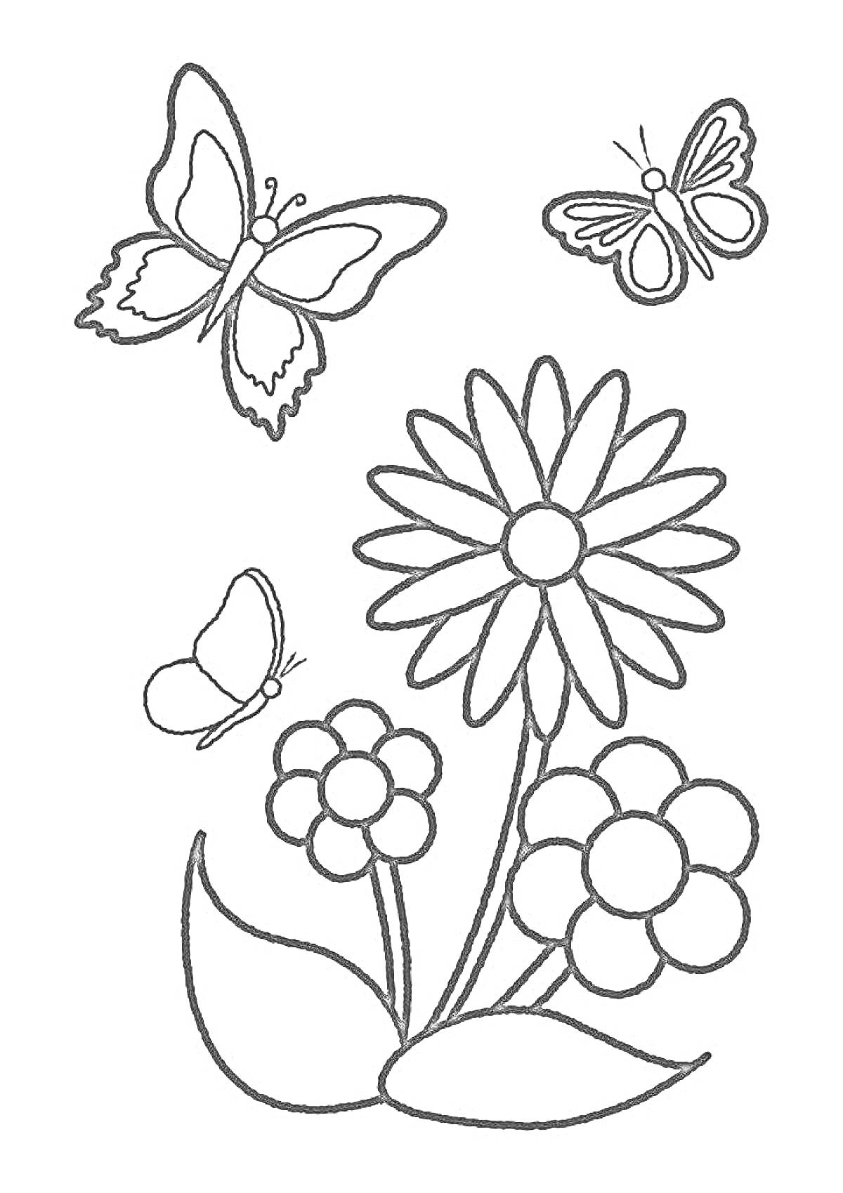 Раскраска Цветы и бабочки - две большие бабочки, одна маленькая бабочка, три цветка с лепестками и два листа
