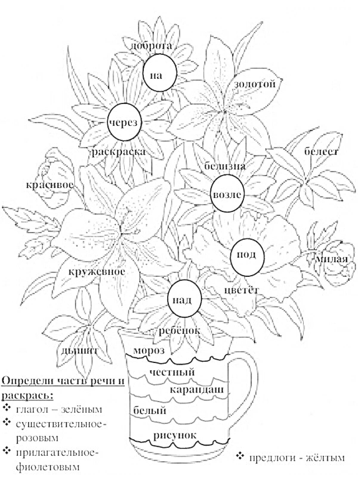 На раскраске изображено: Части речи, Золотой, Белый, Под, Глагол, Существительное, Прилагательное, Цветы, Лилии