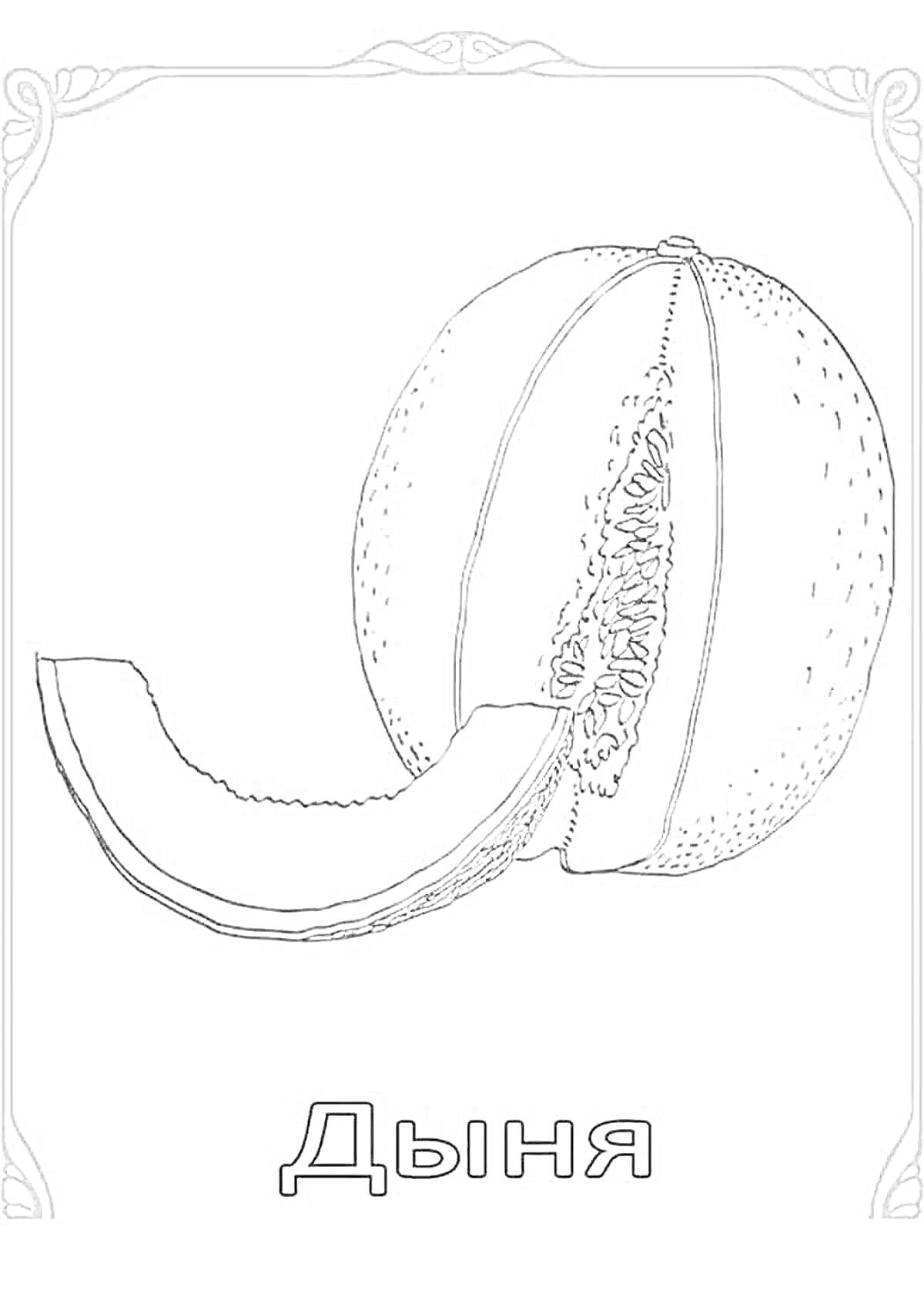 На раскраске изображено: Дыня, Еда, Для детей