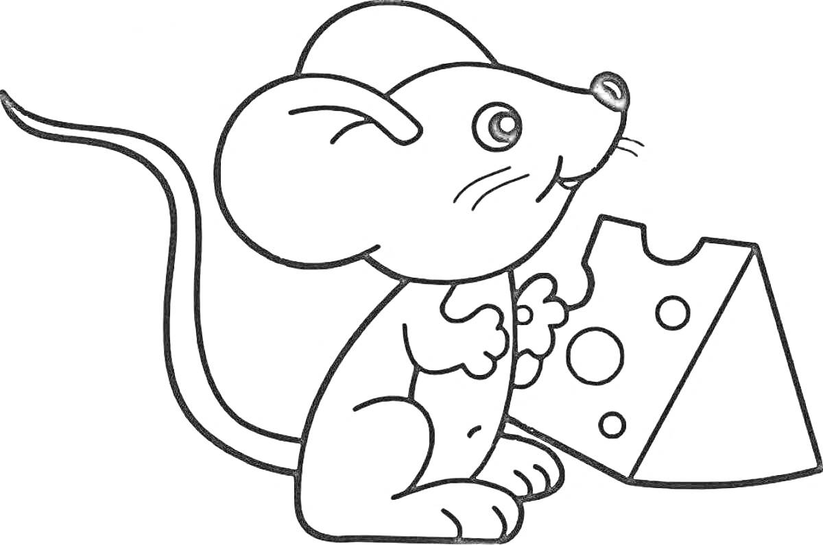 На раскраске изображено: Мышь, Сыр, Животные, Еда, Из мультфильмов, Грызуны