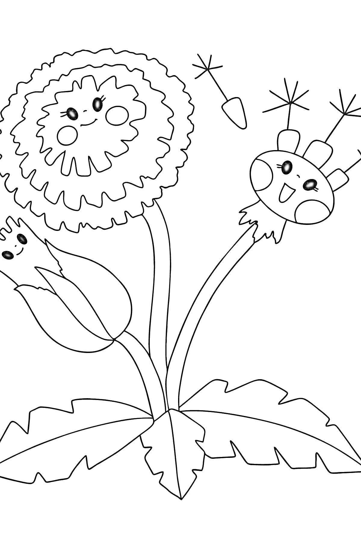 На раскраске изображено: Одуванчик, Улыбка, Бутон, Природа, Растения, Листья, Семечки