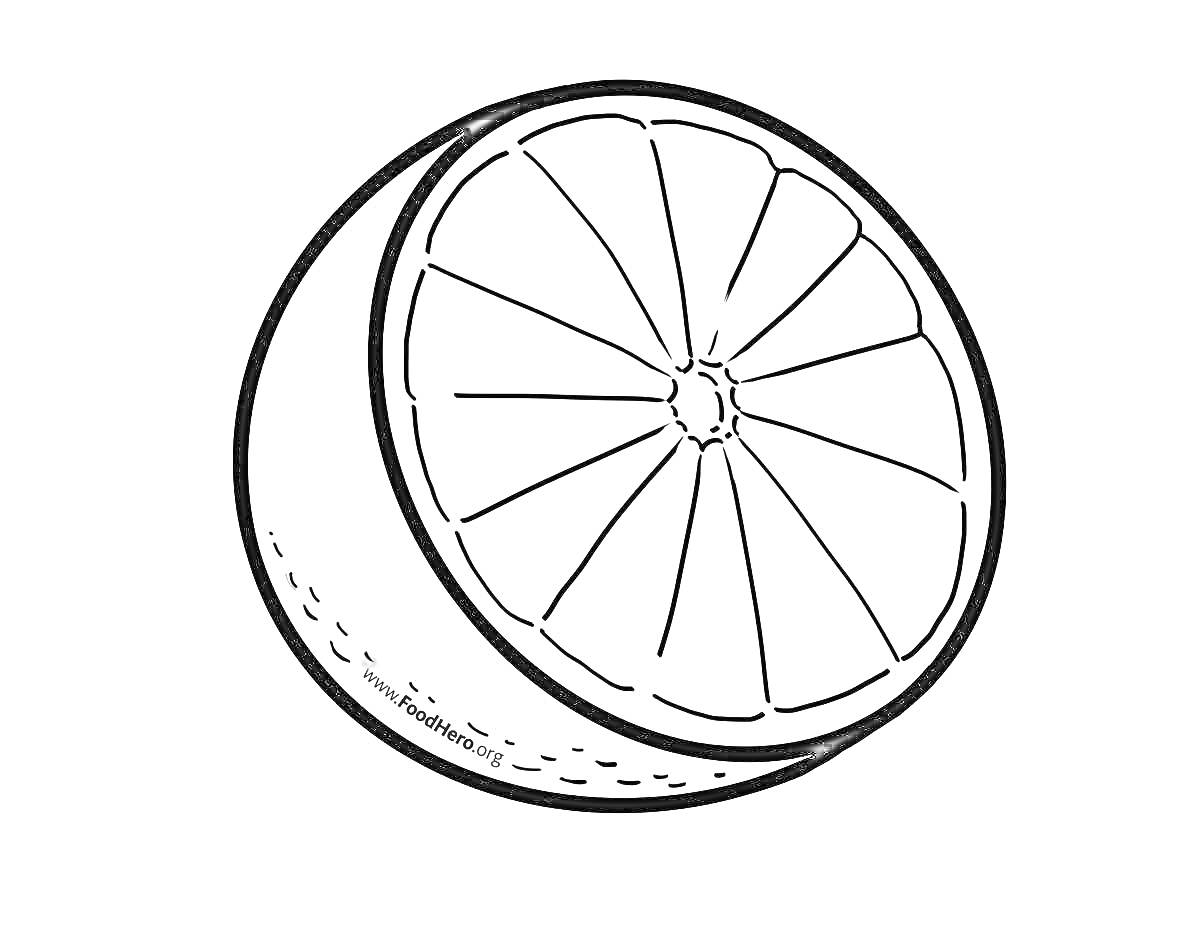 Раскраска Апельсин, разрезанный пополам, с видимой внутренней структурой долек