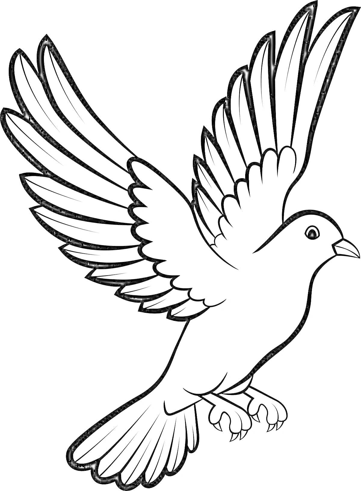 На раскраске изображено: Полет, Птица, Крылья, Спокойствие, Мир, Линии, Голуби, Контурные рисунки