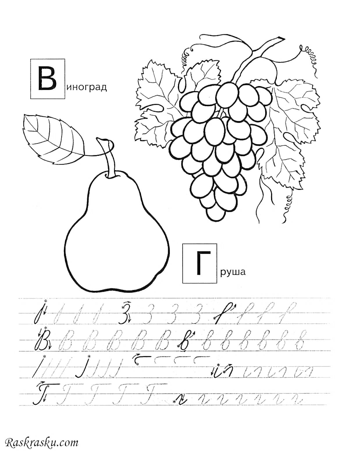 Раскраска Виноград и груша. Прописные буквы В и Г.