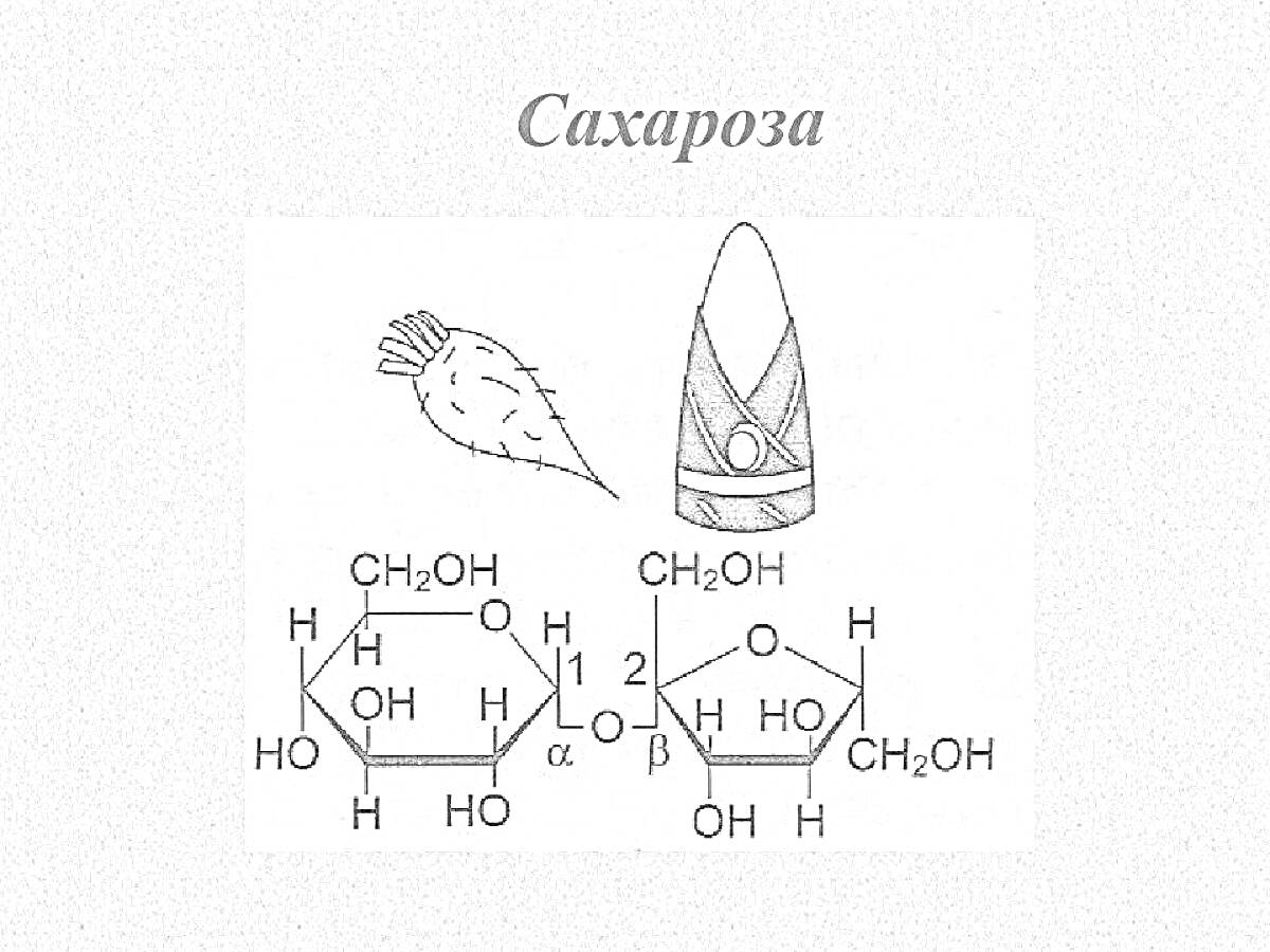 Сахароза со сладким корнем и гексагональной структурой