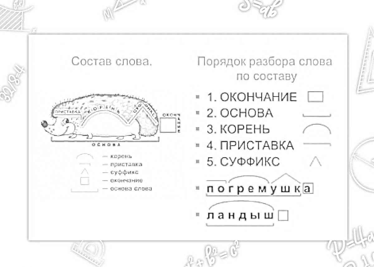 Раскраска состав слов (ёжик, разбор слова 