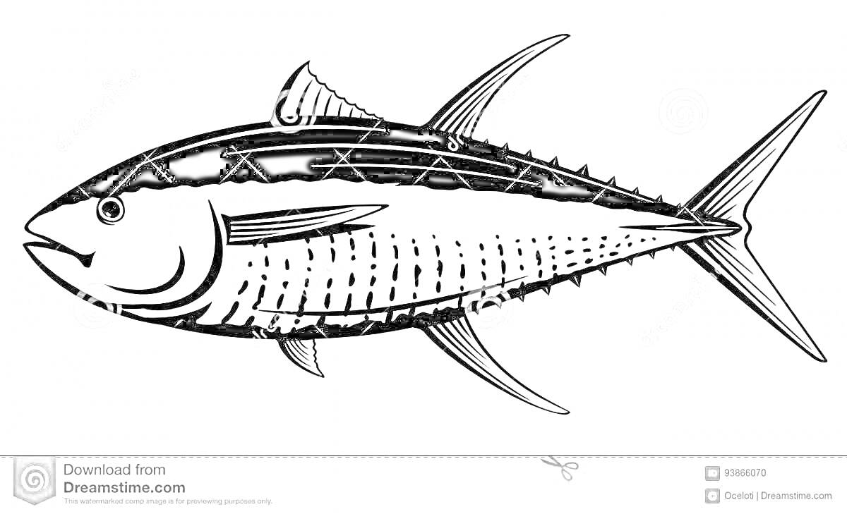Раскраска Раскраска с изображением тунца
