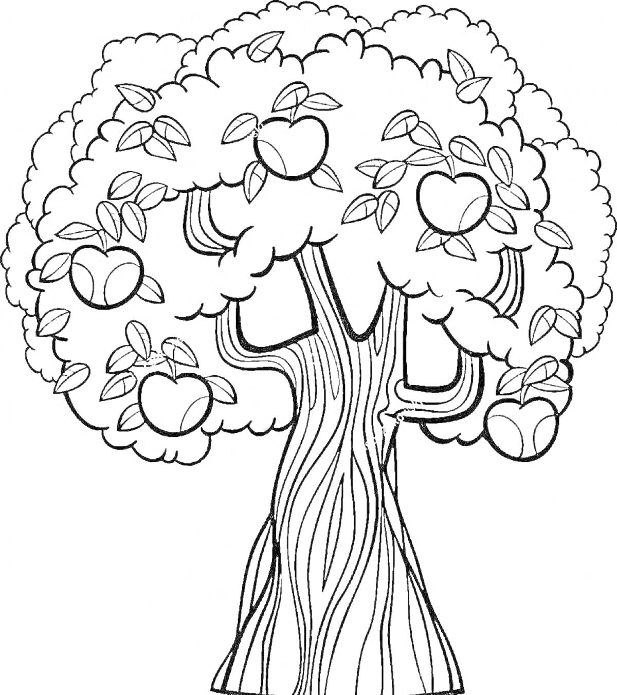 На раскраске изображено: Яблоня, Листья, Для детей, Природа, Фрукты
