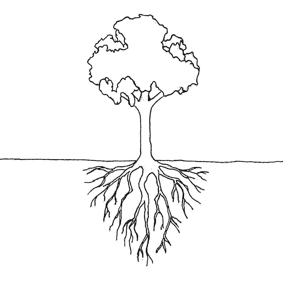 Раскраска Дерево с корнями линии. Дерево стоит на ровной поверхности, корни уходят глубоко вниз.