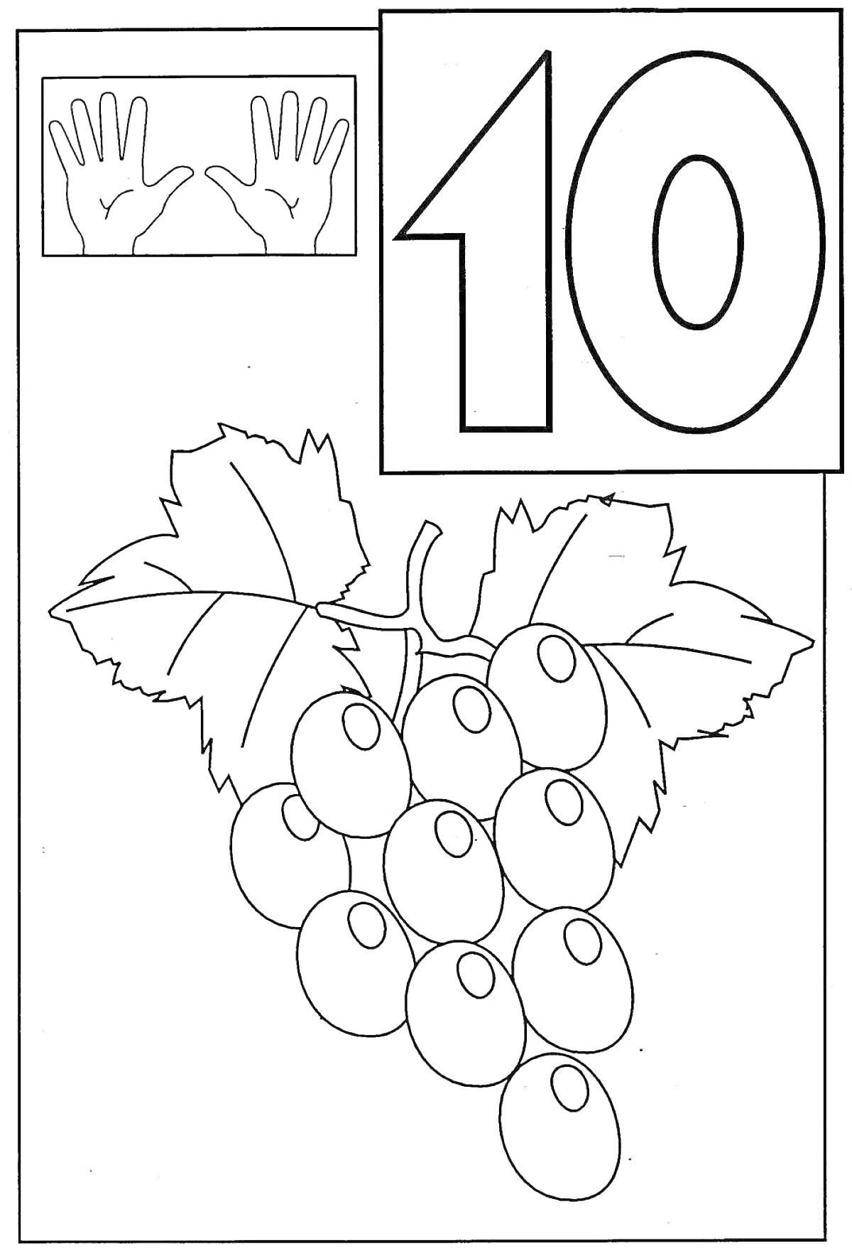 На раскраске изображено: Виноград, Листья, Две руки, Обучение, Математика