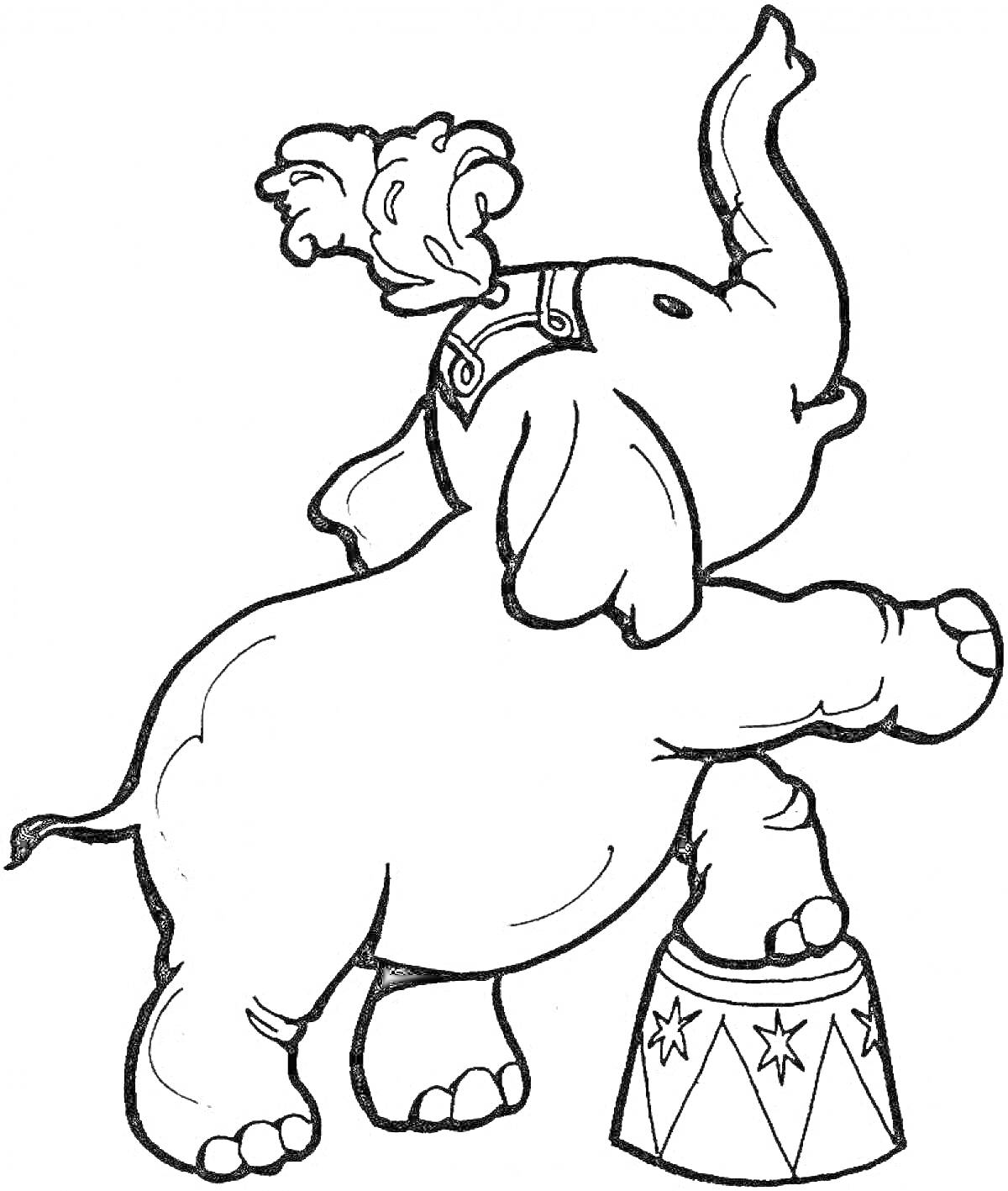 На раскраске изображено: Слон, Дрессированные животные, Цирк, Трюк, Тумба, Выступление