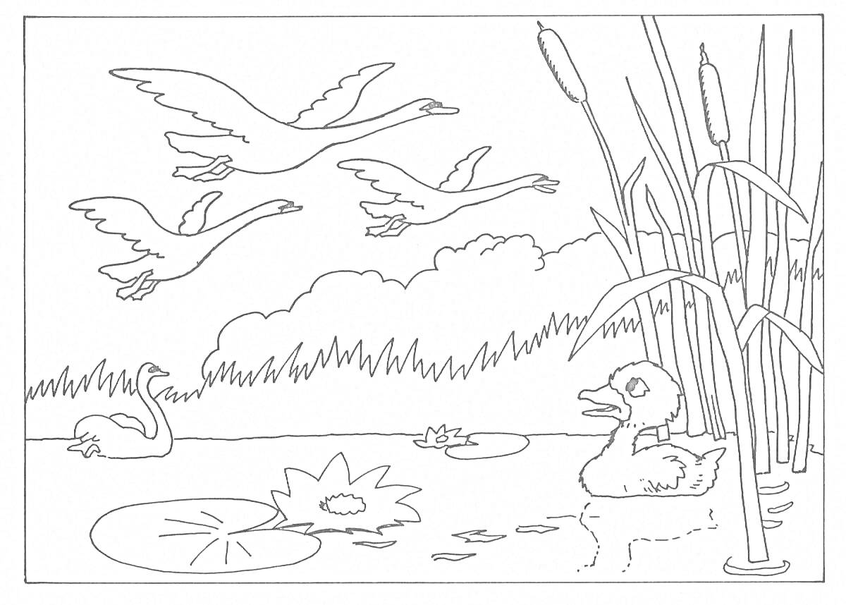 На раскраске изображено: Озеро, Камыши, Кувшинки, Птица, Природа, Водоем
