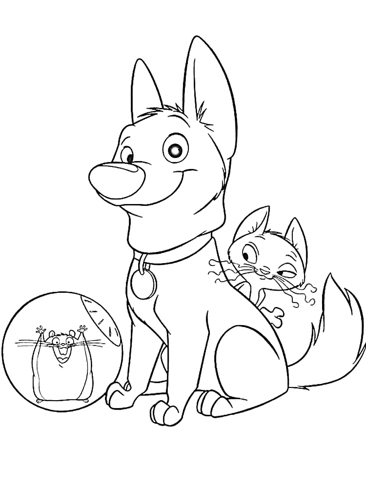 Раскраска Собака, кошка и хомяк в шаре