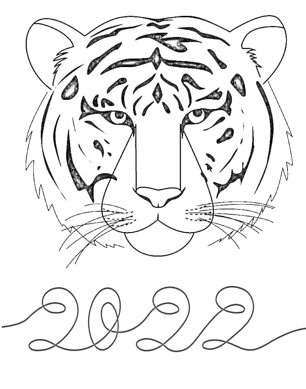 Раскраска тигр с надписью 