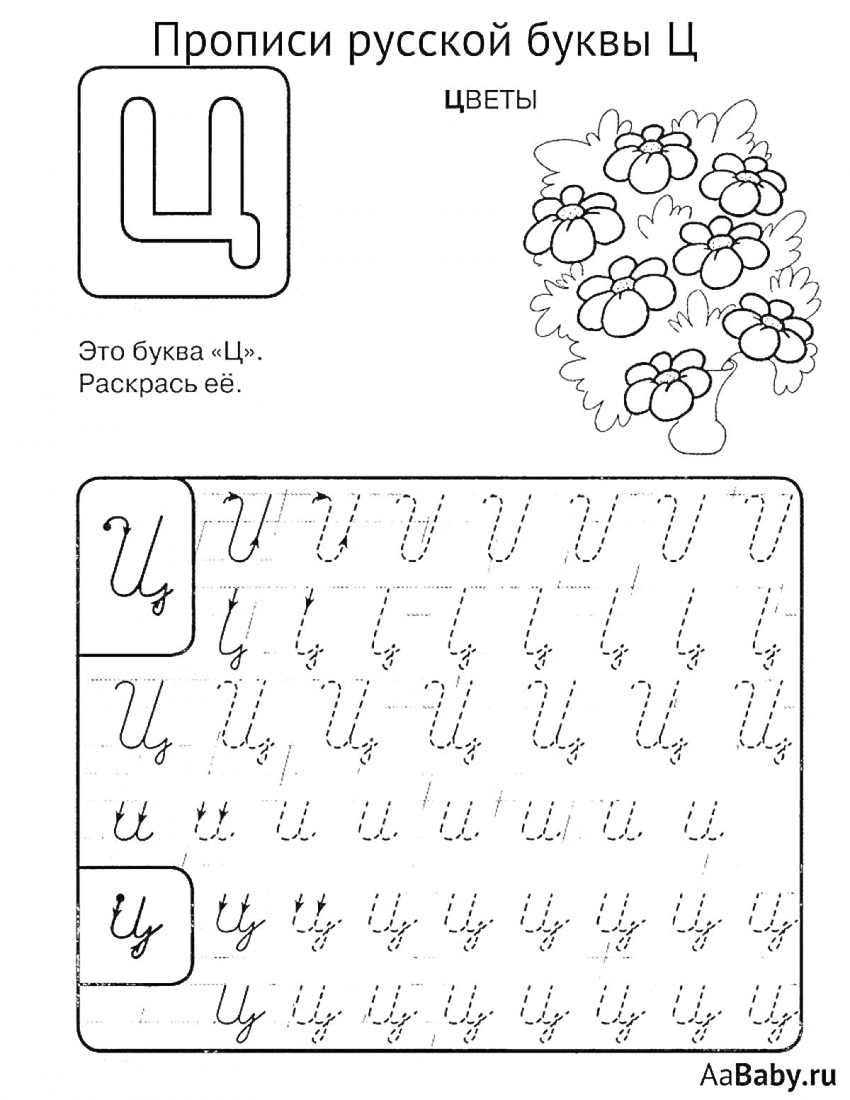 Раскраска Прописи русской буквы Ц с изображением цветов и заданиями по раскрашиванию и написанию буквы