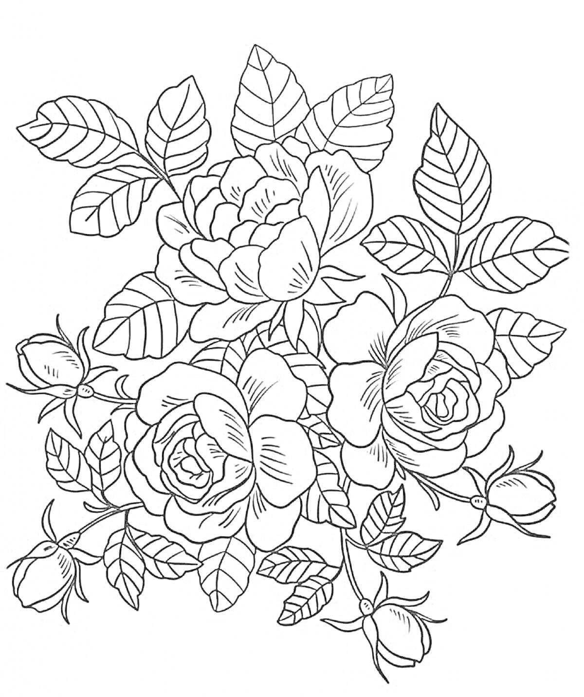 Раскраска Букет роз с бутонами и листьями