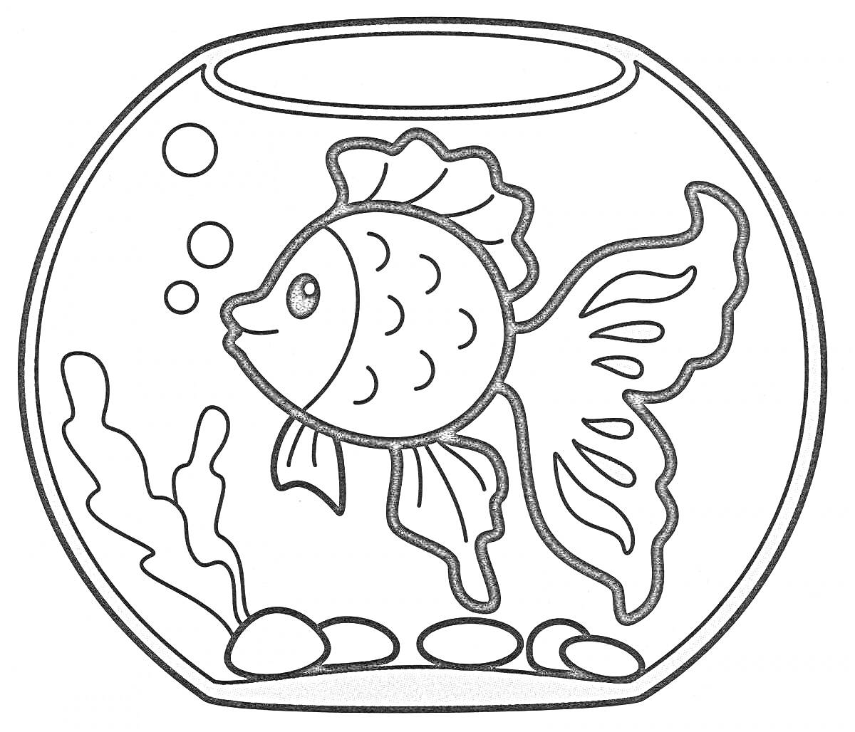 На раскраске изображено: Аквариум, Золотая рыбка, Водоросли, Камни, Рыба, Для детей, Пузыри