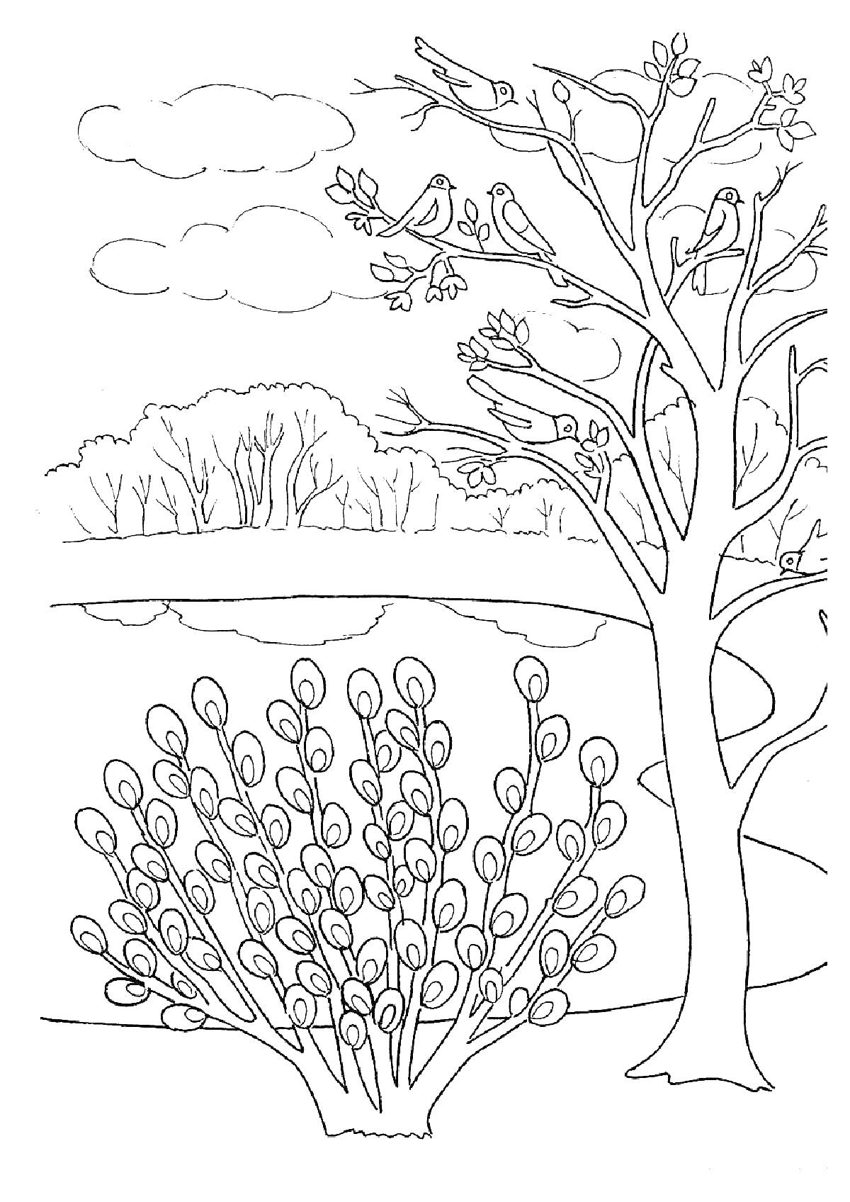 Раскраска Весенний пейзаж с деревом, кустом вербы, птицами и облачным небом над рекой