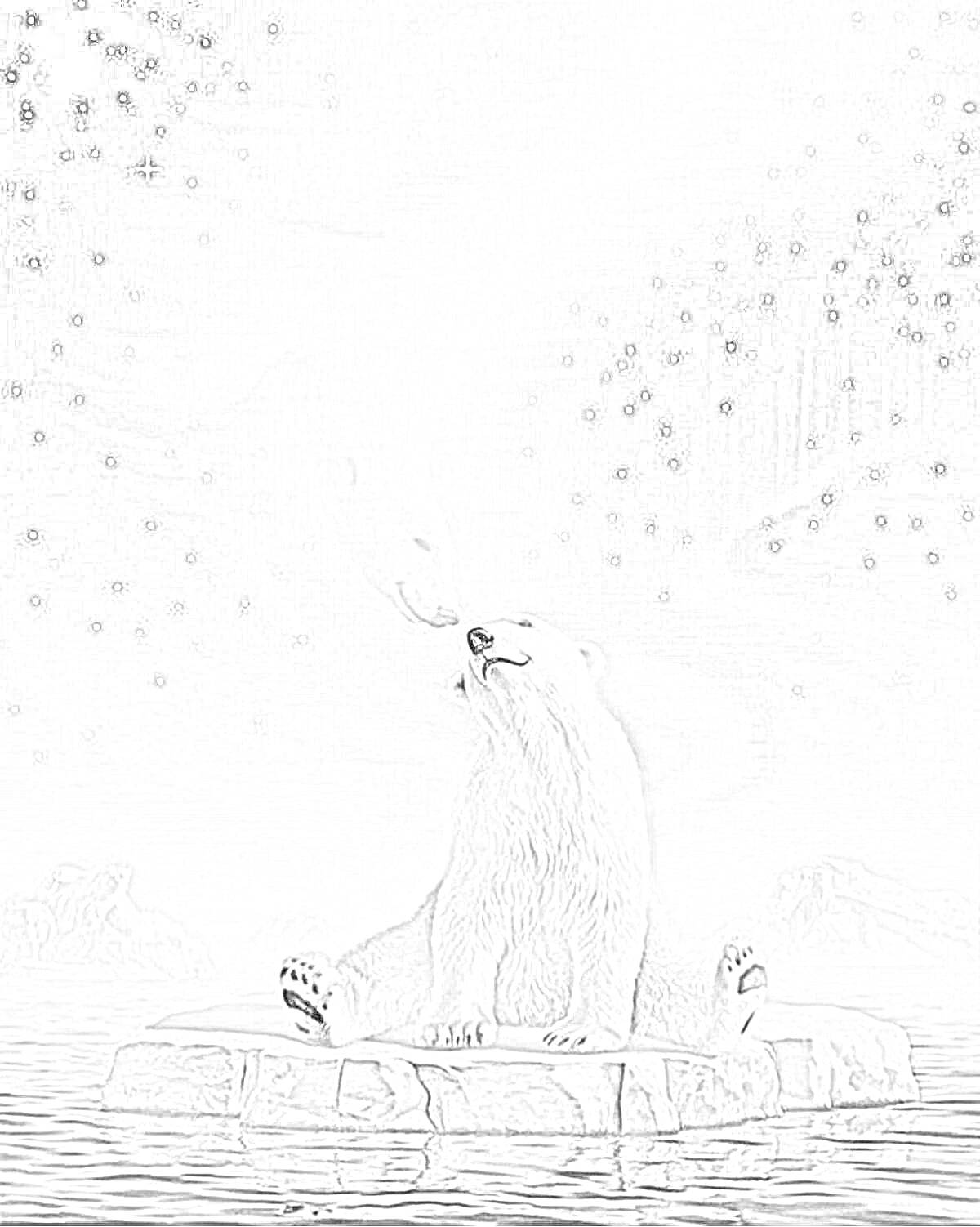На раскраске изображено: Белый медведь, Северное сияние, Льдина, Море, Звезды, Арктика, Природа, Ночь, Дикая природа