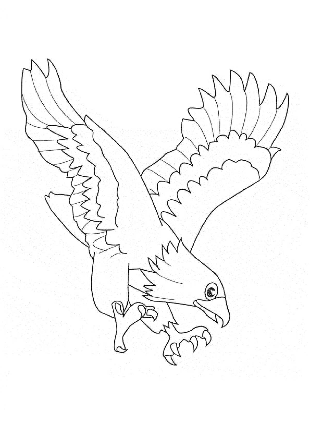 Орел в полете с расправленными крыльями и когтями
