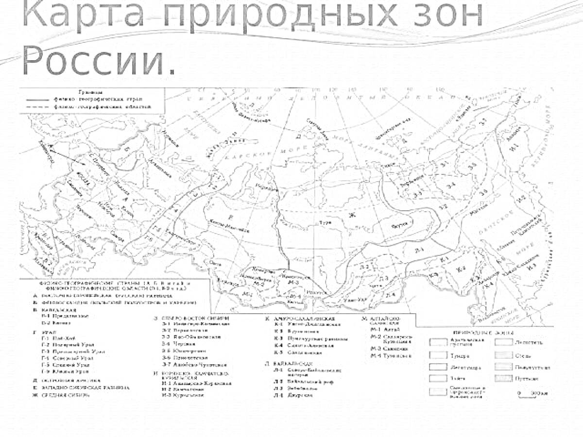 Раскраска Карта природных зон России с обозначенными зонами тайги, лесов, лесостепей, степей, полупустынь, пустынь, тундры и лесотундры. Также на карте обозначены границы природных зон, водные объекты, рельеф и города.