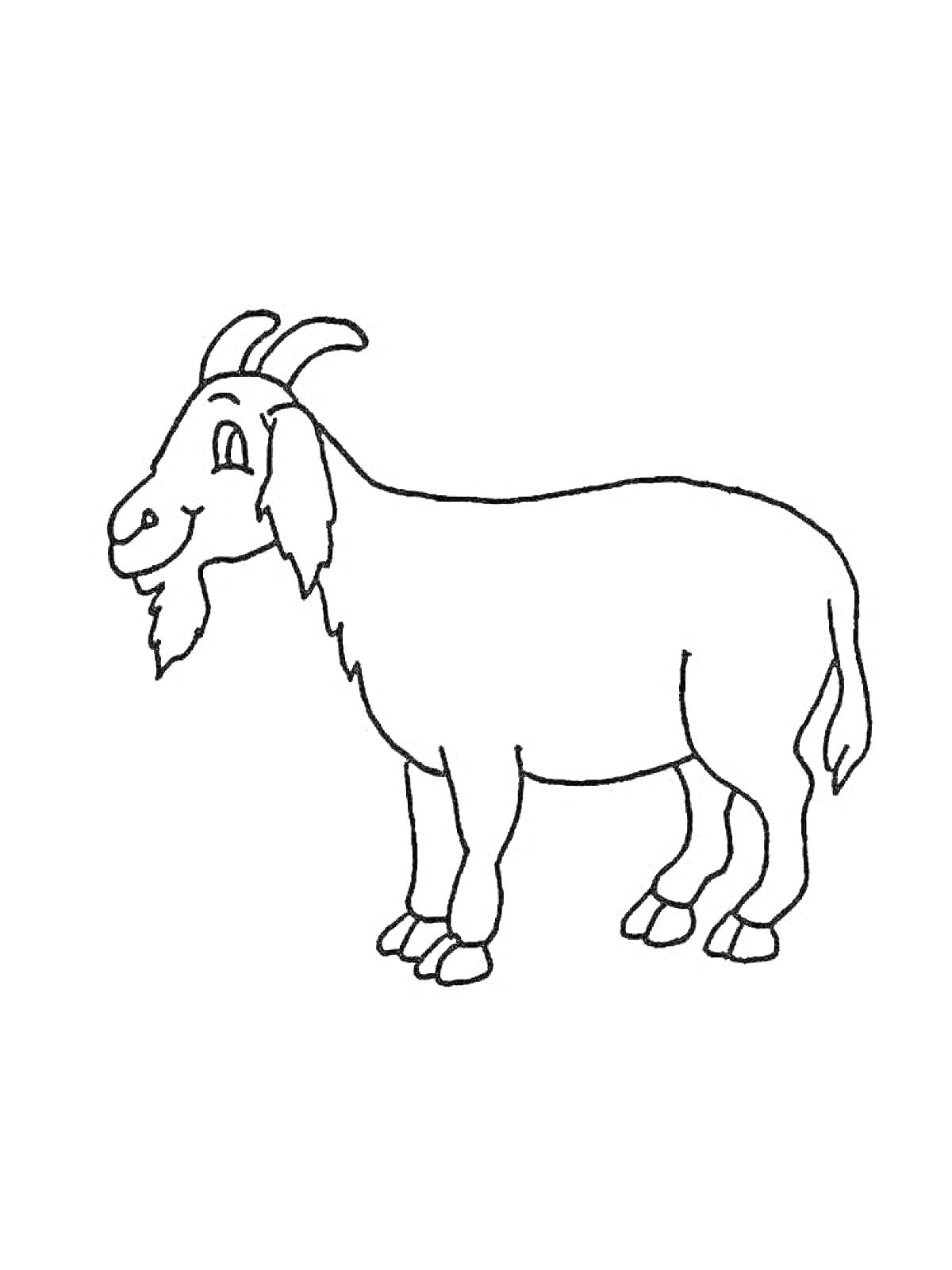 Раскраска Козел, стоящий на четырех ногах, с бородкой и рогами