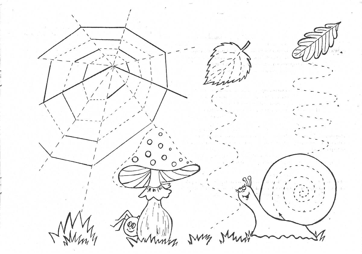 Раскраска Паутина с пауком, гриб с травой, улитка, листья березы и дуба